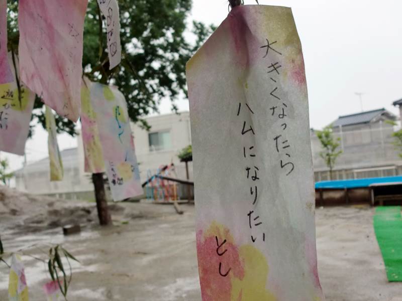 子供たちの短冊から